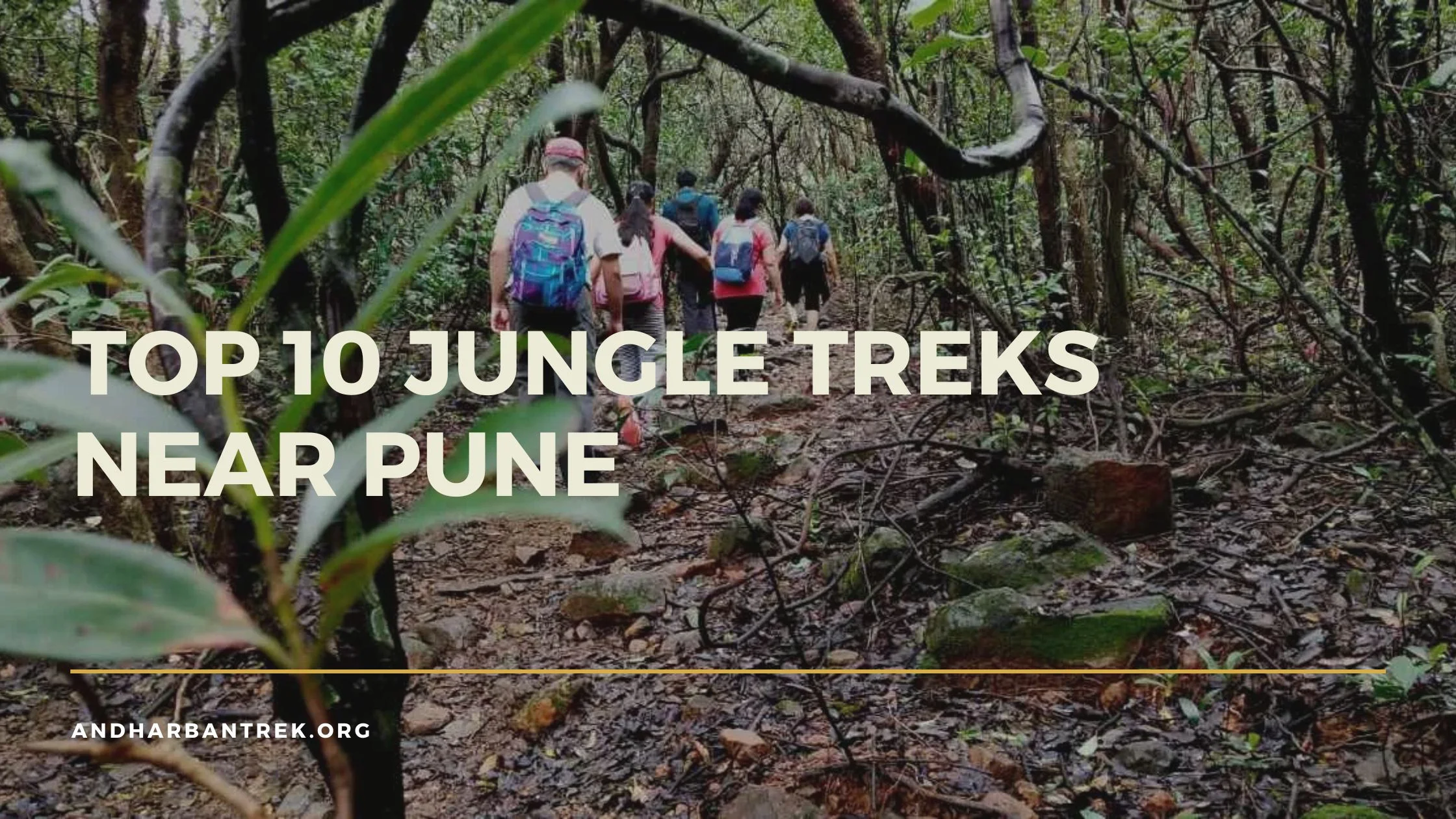 Top jungle treks near Pune — Andharban trek