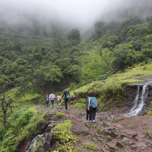 Trekkers exploring the dense monsoon forests of the Sahyadris on Andharban trek